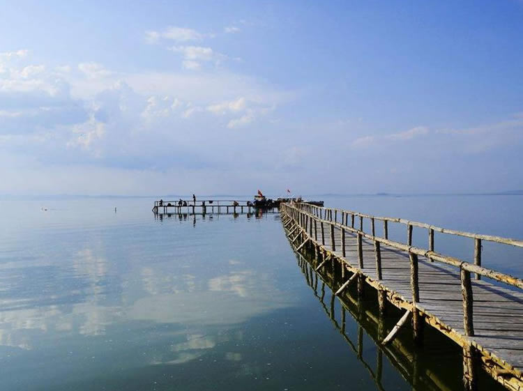 达里湖风景